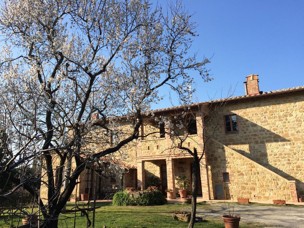 Agriturismo Podere San Gregorio Pienza Exterior photo
