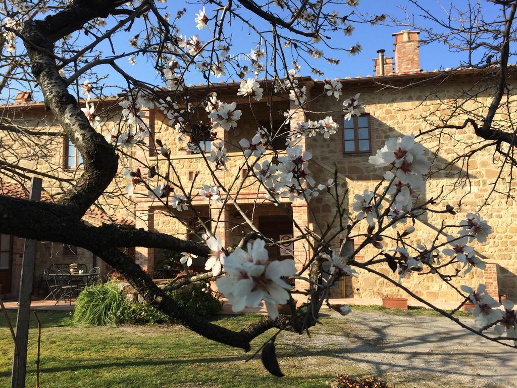 Agriturismo Podere San Gregorio Pienza Exterior photo